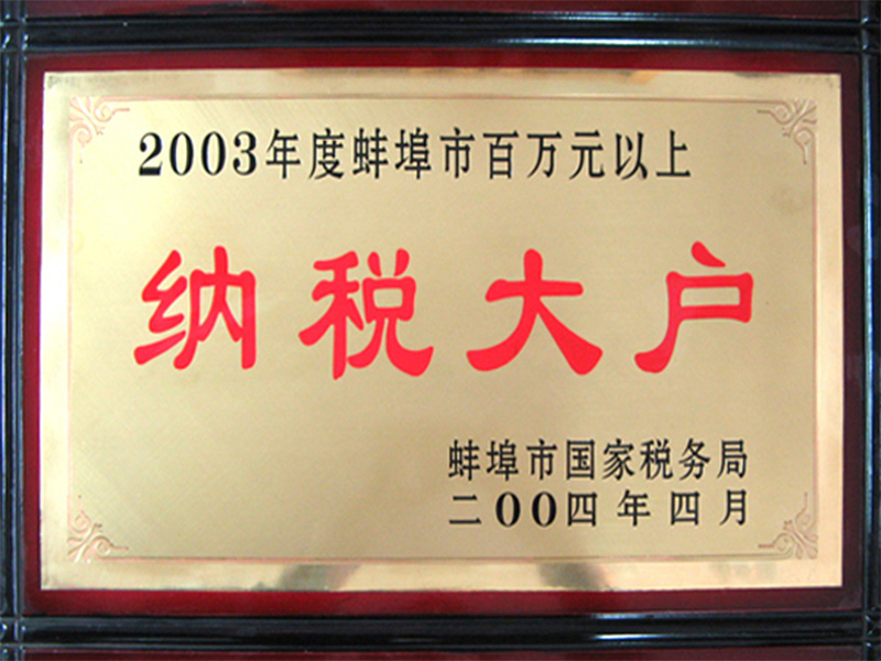 2003年度纳税大户