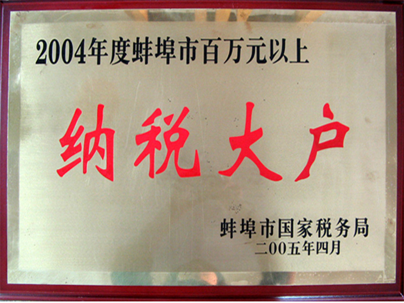 2004年度纳税大户